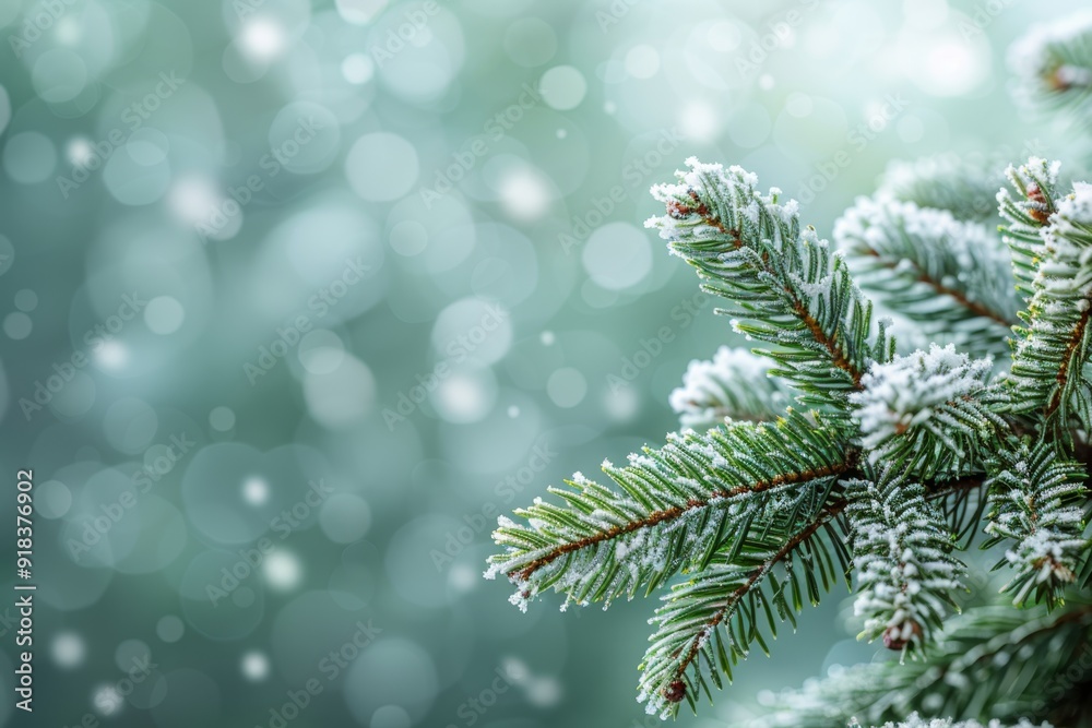 Merry Christmas and Happy New Year background Merry Christmas and Happy New Year background