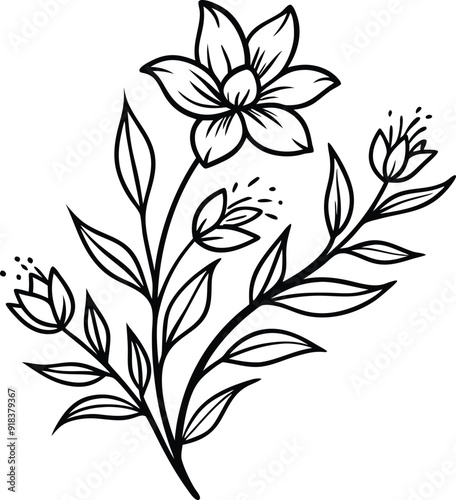 Hand drawn botanical floral branch illustration