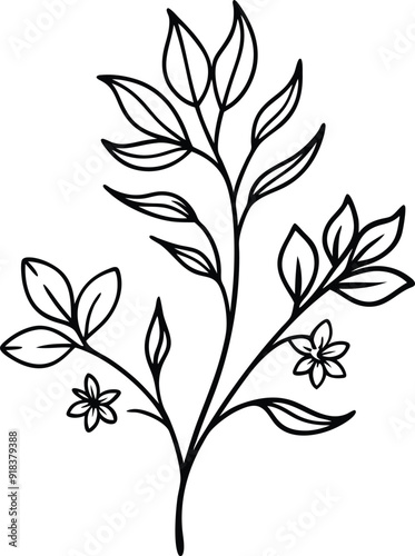 Hand drawn botanical floral branch illustration