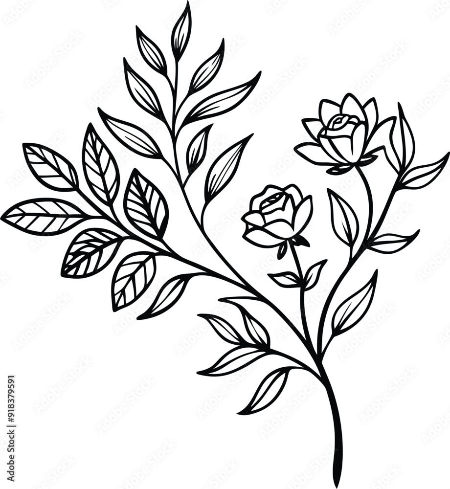 Hand drawn botanical floral branch illustration Hand drawn botanical floral branch illustration