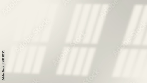 realistic widow shadow on wall natural perspective