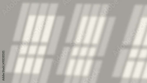 realistic widow shadow on wall natural perspective