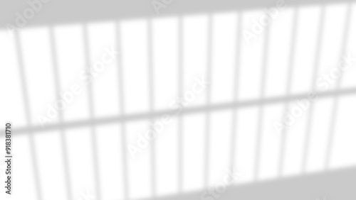 realistic widow shadow on wall natural perspective