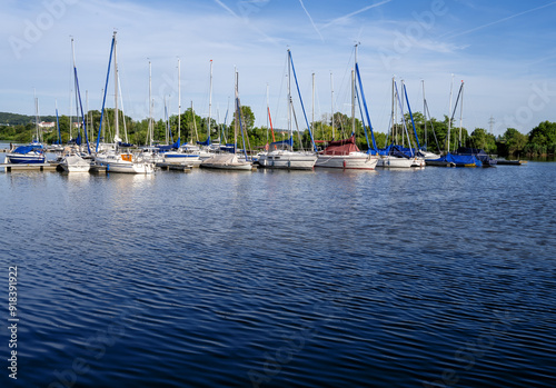 Marina with boats and ships photo