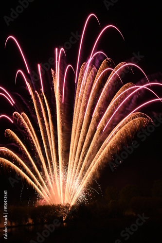 feux d'artifice à SAUJON (Charente-Maritime) photo