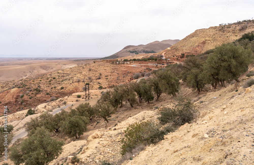 Arid Moroccan landscape near Marrakech, sparse vegetation, rolling hills, dry terrain, distant mountains Arid Moroccan landscape near Marrakech, sparse vegetation, rolling hills, dry terrain, distant mountains