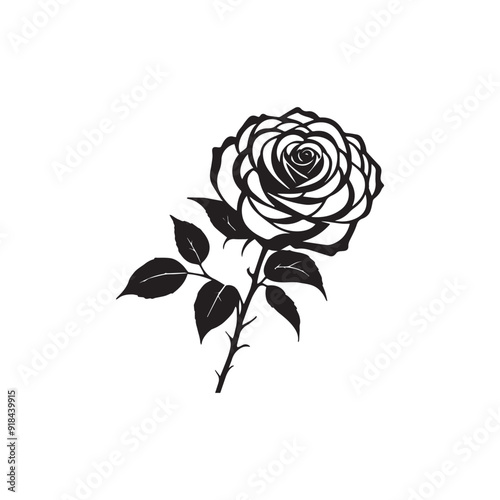 red rose on white background vector