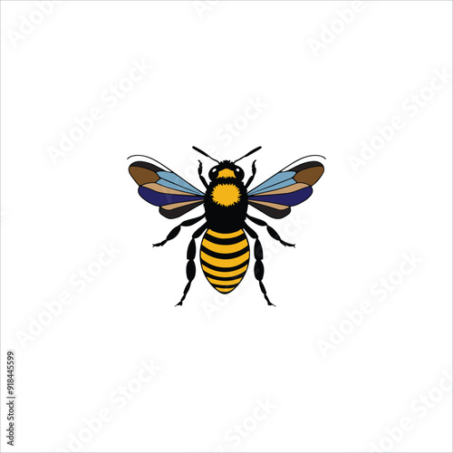 bee illustration