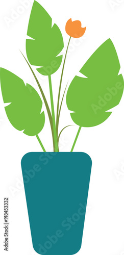 home plant in potted vector illustration on white background