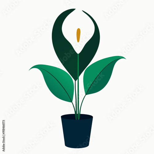 Peace lily on a vase vector illustration