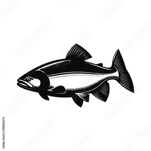 River fish silhouette vector illustration. cooking fish black and white animal.