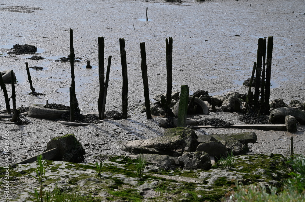 De Saujon à l'Eguille sur Seudre