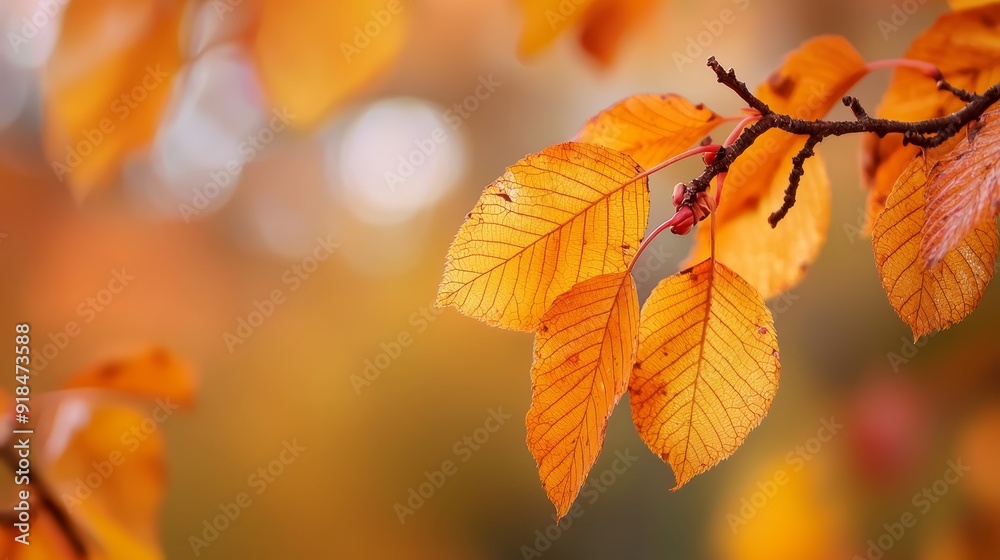  A branch with distinct yellow leaves in the foreground against a softly blurred backdrop of similar hue