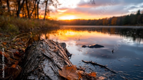  The sun sets over a tranquil lake, its surface mirroring the golden hues of twilight A decaying log lies in the foreground, while a fallen tree frames