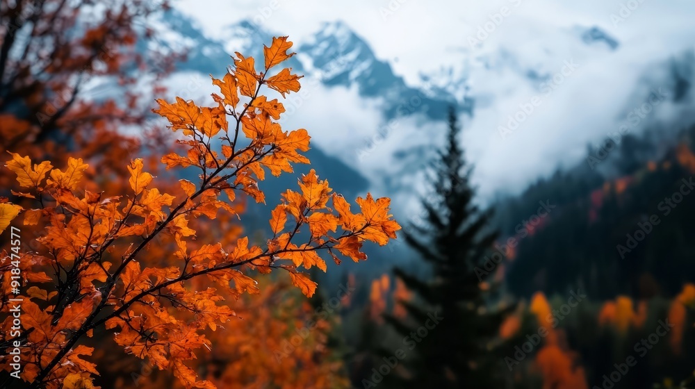 A tree with orange leaves in the foreground Behind it, a mountain range with clouds in the distance A tree with orange leaves in the foreground Behind it, a mountain range with clouds in the distance