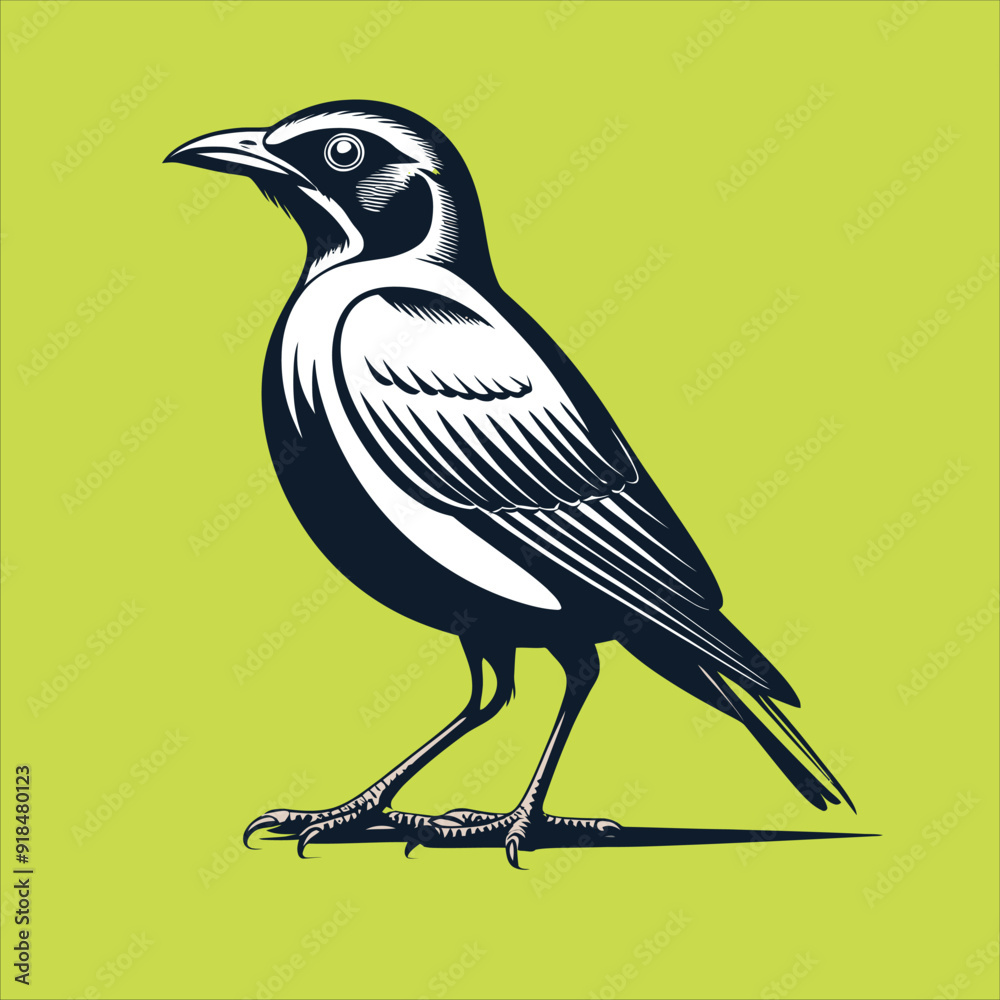 Obraz premium Vectorize Bird as Natural Beauty.