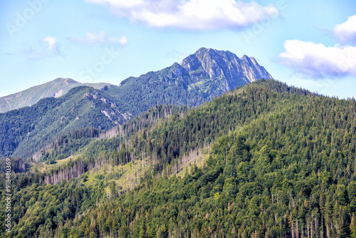 Fototapeta Naklejka Na Ścianę i Meble -  
Nature view with mountains in the Tartars of Poland