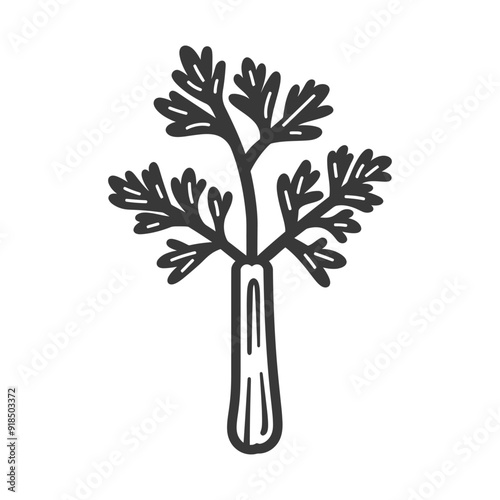 Hand drawn black and white line art illustration of a celery stalk