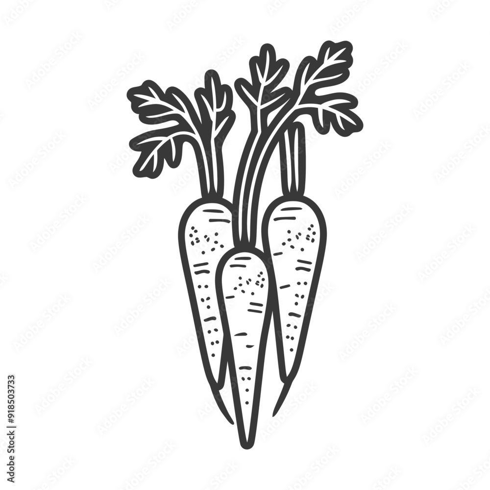Hand Drawn Illustration of Four Carrots with Green Tops Hand Drawn Illustration of Four Carrots with Green Tops
