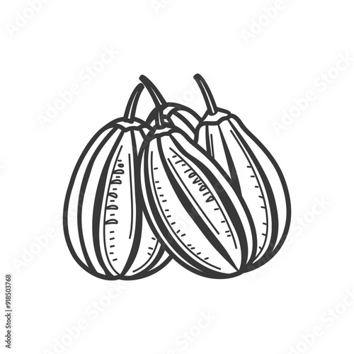 Hand drawn illustration of three striped gourds