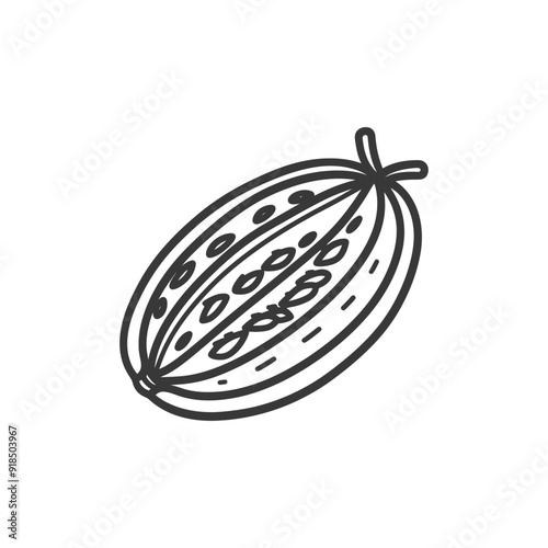 Hand Drawn Outline Illustration of a Passion Fruit