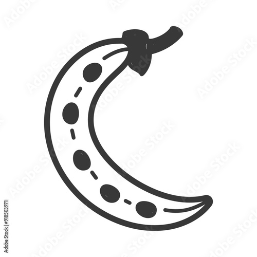 Hand drawn outline illustration of a single pea pod