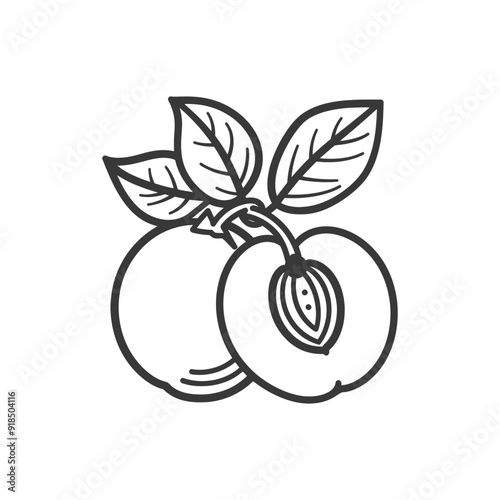 Hand Drawn Outline of a Peach with Leaves