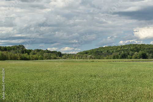 Sanctuaire Oiseau Phillipsburg