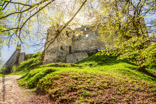 Slovakia landscape ruin of castle of Povazsky castle, near povazska bystrica in Slovakia photo