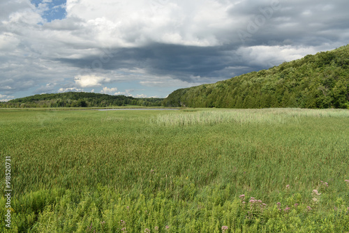 Sanctuaire Oiseau Phillipsburg