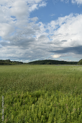 Sanctuaire Oiseau Phillipsburg