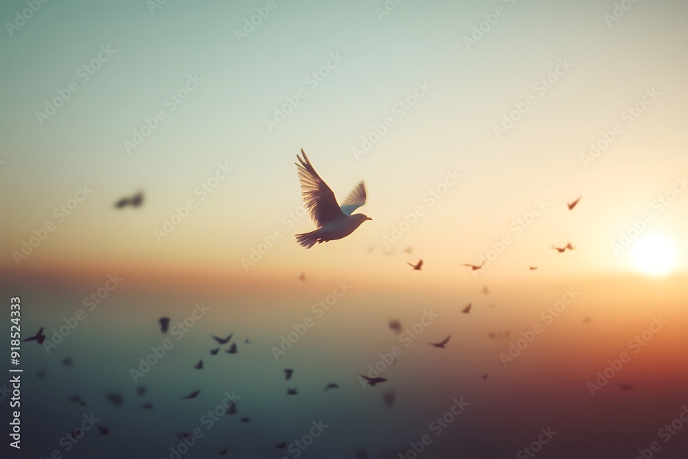 Fototapeta premium A silhouetted bird gracefully soars against a pastel sunset backdrop.