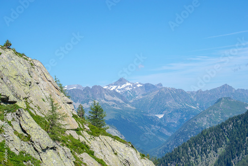 L'été à la montagne dans les Alpes françaises, "Les Houches", "Chamonix", "Salanches" 