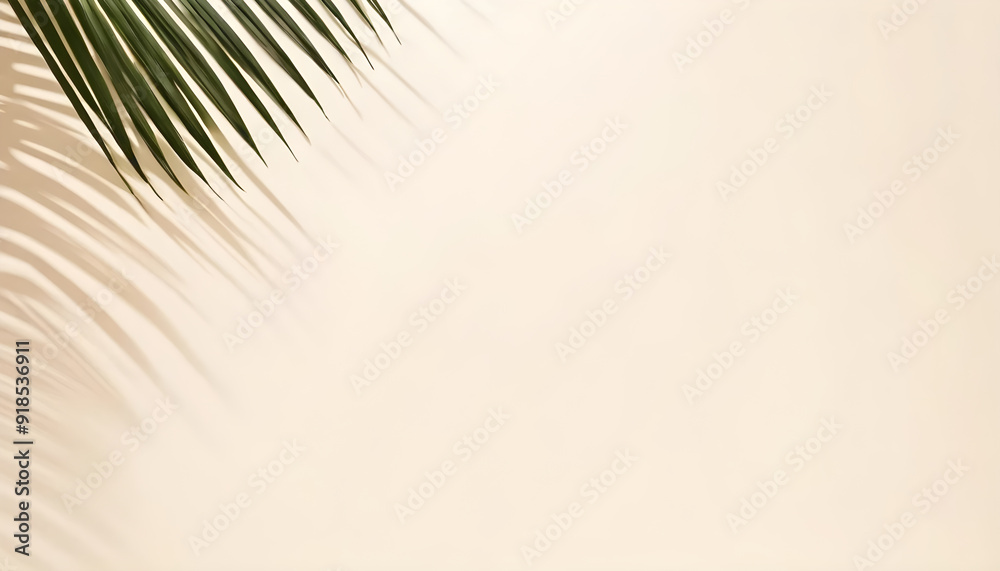 Fototapeta premium Palm leaf casting shadow on beige background minimalist tropical plant flat lay