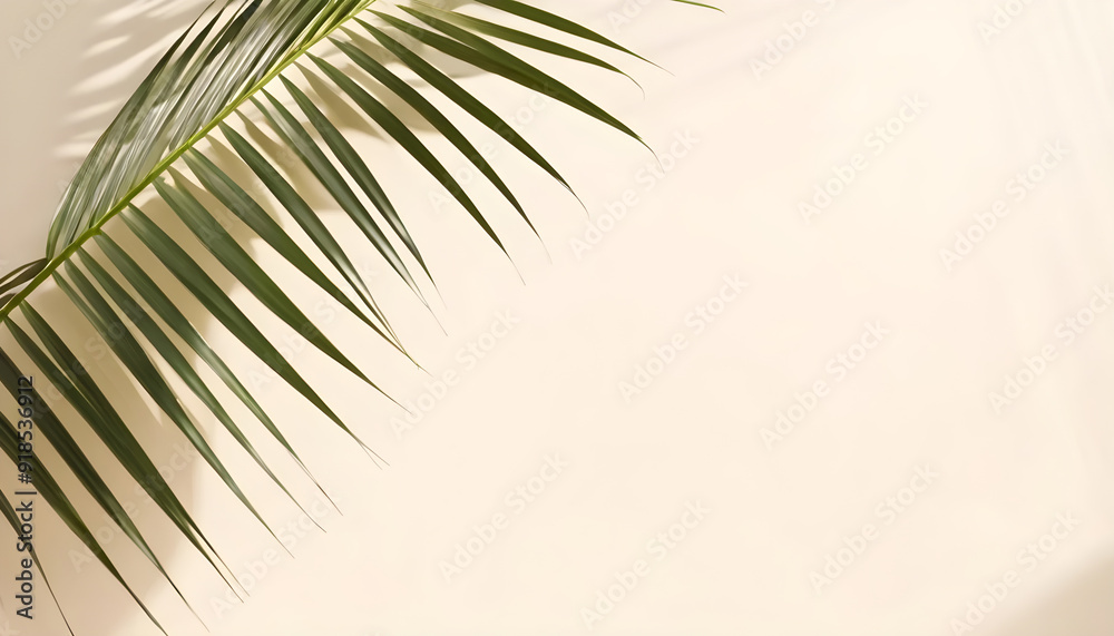 Fototapeta premium Single palm tree leaf casting shadow on beige background