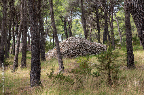 Rock mounds and stone walls in terraced fields near Milna, Brac Island, Croatia photo