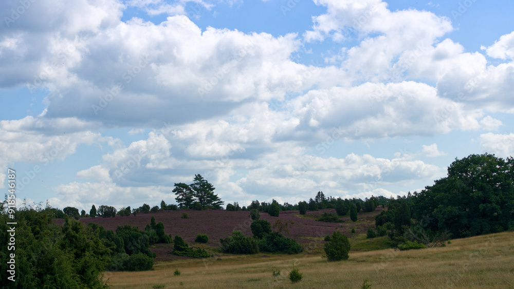 Naklejka premium Heide
