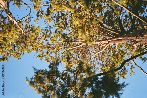 Zaragoza, Spain, 2024, film photograph
