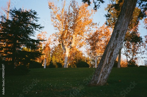 Zaragoza, Spain, 2024, film photograph