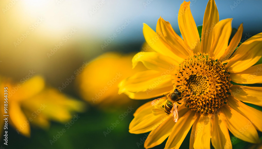 Bee on Bright Yellow Flower, sustainable energy solutions, green technology Bee on Bright Yellow Flower, sustainable energy solutions, green technology