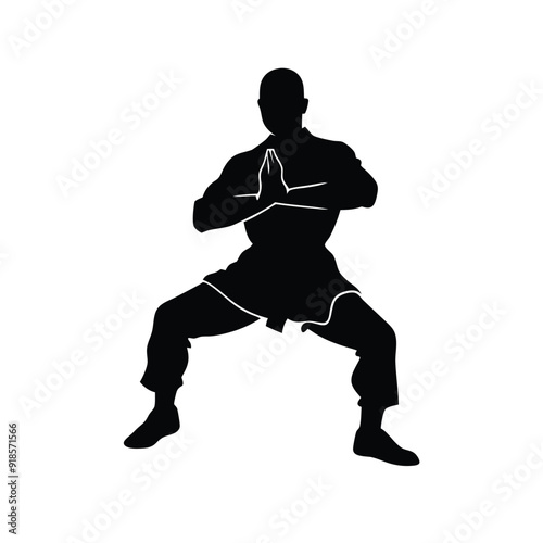 Male martial arts kung fu man standing posing silhouette vector, isolated white background
