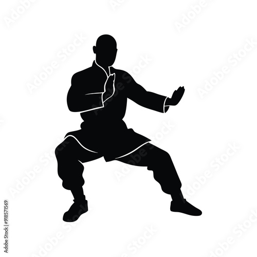 Male martial arts kung fu man standing posing silhouette vector, isolated white background