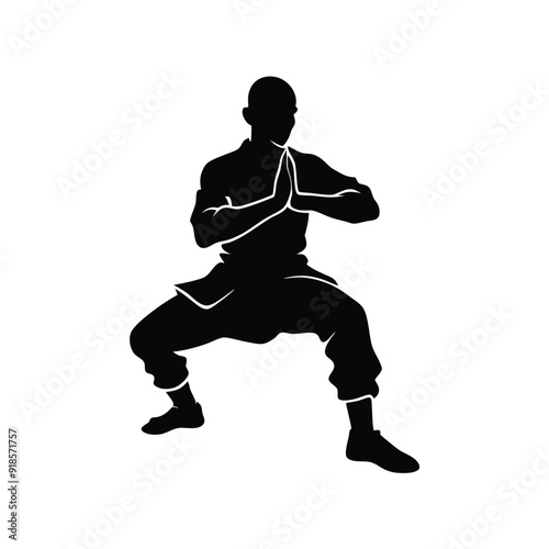 Male martial arts kung fu man standing posing silhouette vector, isolated white background