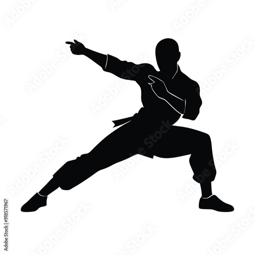Male martial arts kung fu man standing posing silhouette vector. isolated white background 