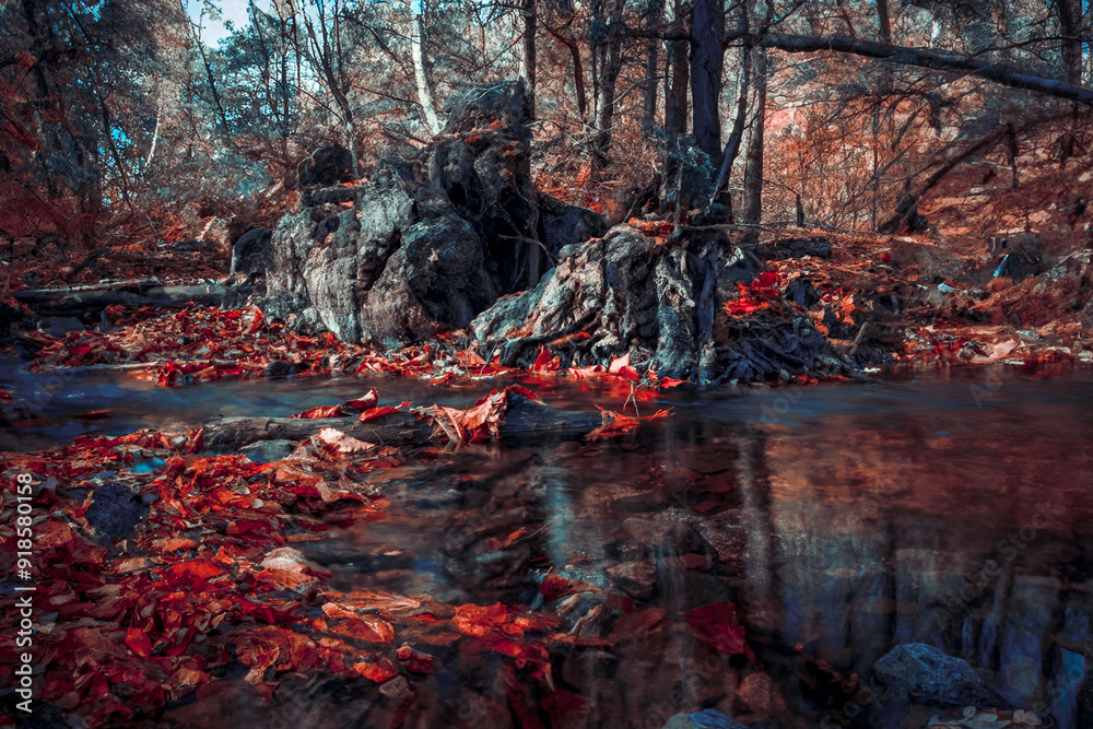 autumn passage with leaves on the ground and small stream autumn passage with leaves on the ground and small stream