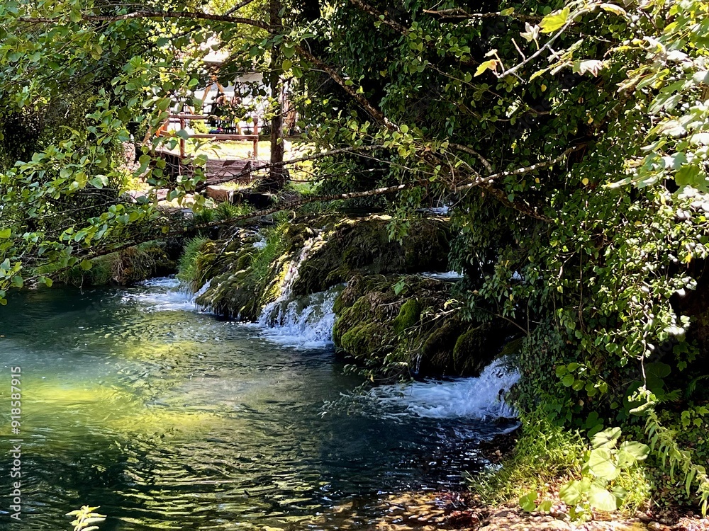 Obraz premium waterfall in the forest