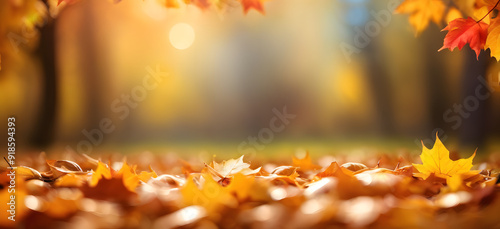 autumn leaves banner background with Bokeh