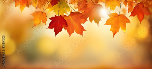 autumn leaves banner background with Bokeh