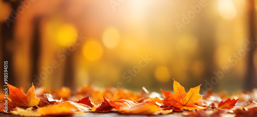 autumn leaves banner background with Bokeh