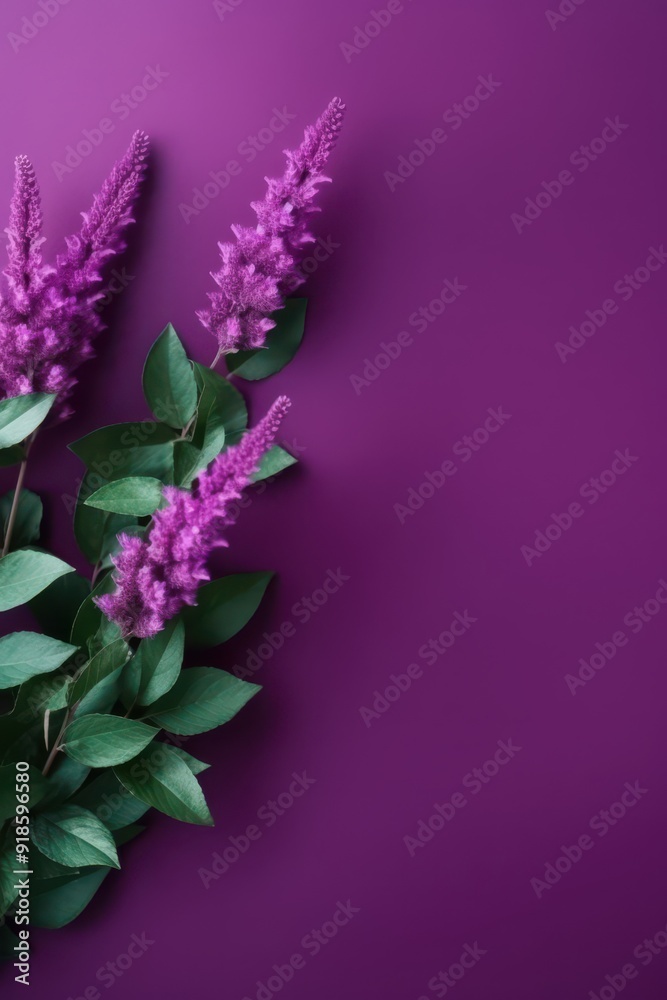 Obraz premium Elegant purple floral arrangement on a calm backdrop
